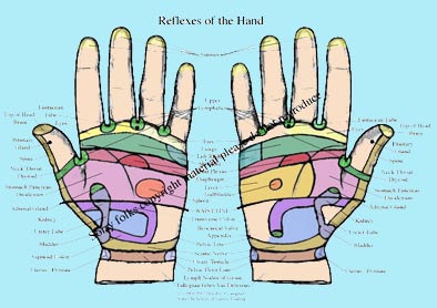 Handreflex